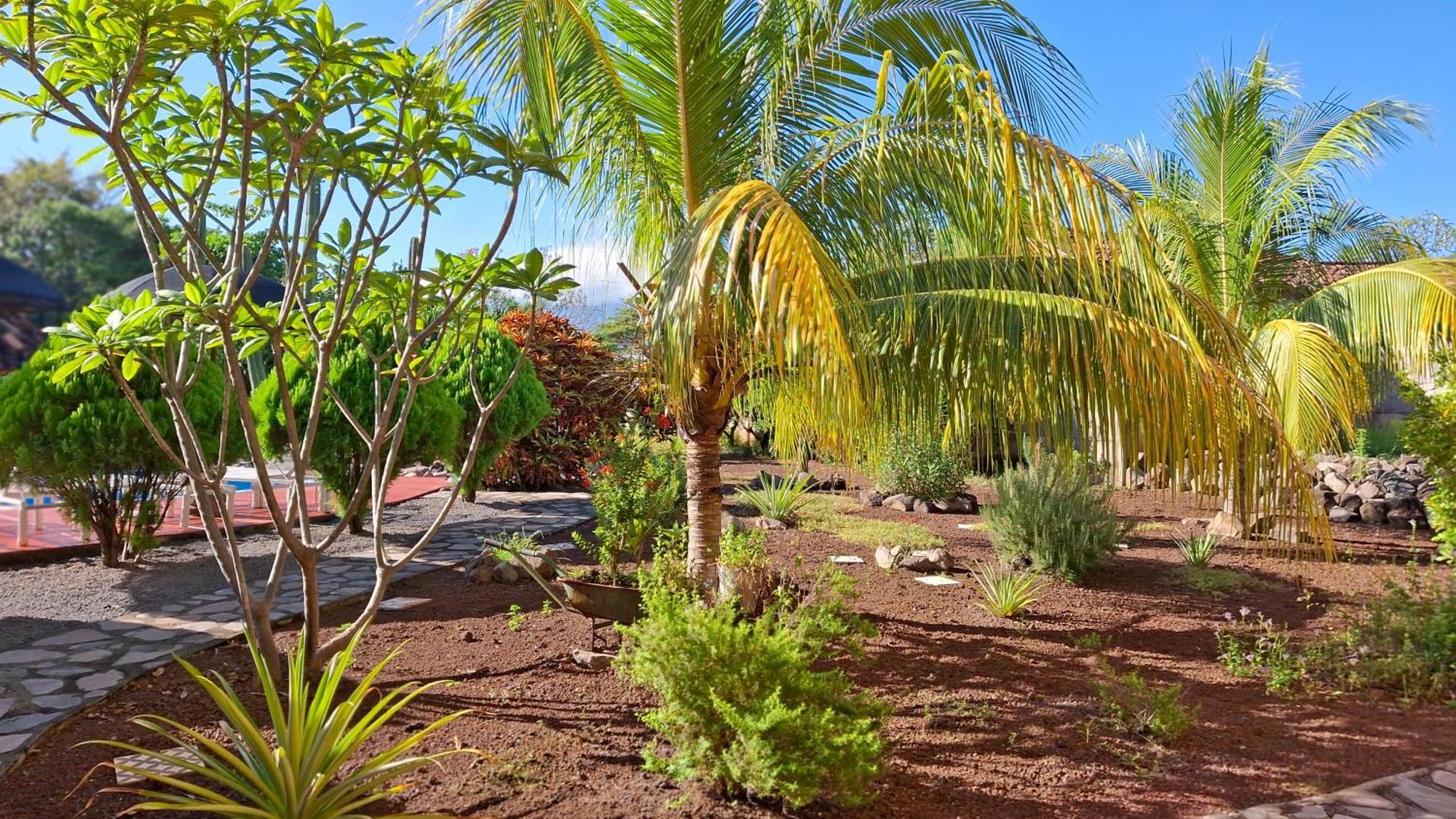 Hotel Jardin Garden De Granada Nicaragua Exteriör bild